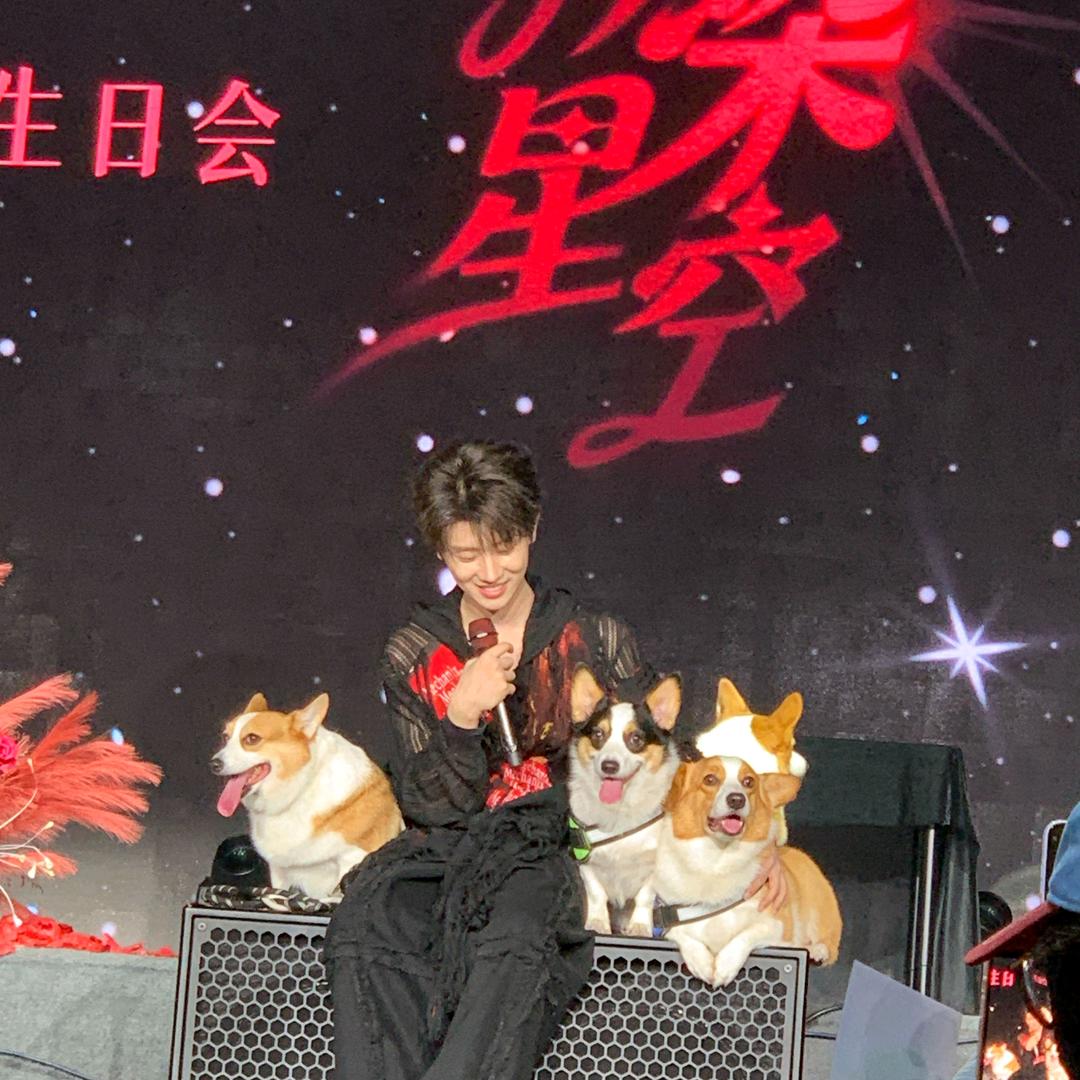 鸭血汤🐼ꪔ͈̮