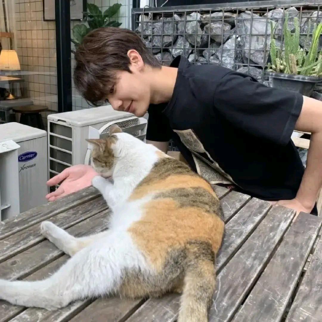 无人扶我青云志