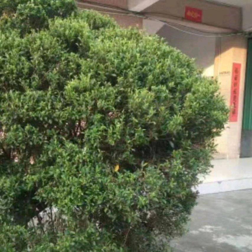 相亲相遇