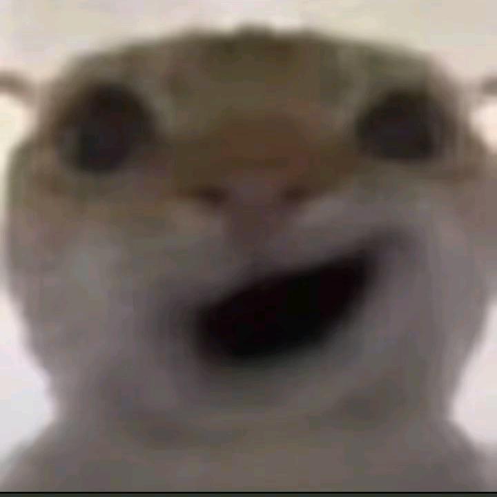 十一点了（三角洲代肝）