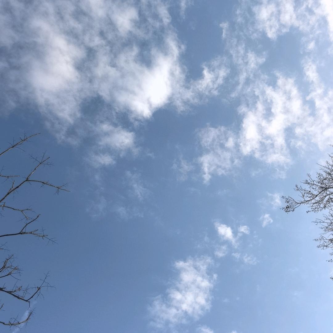 浩浩优选