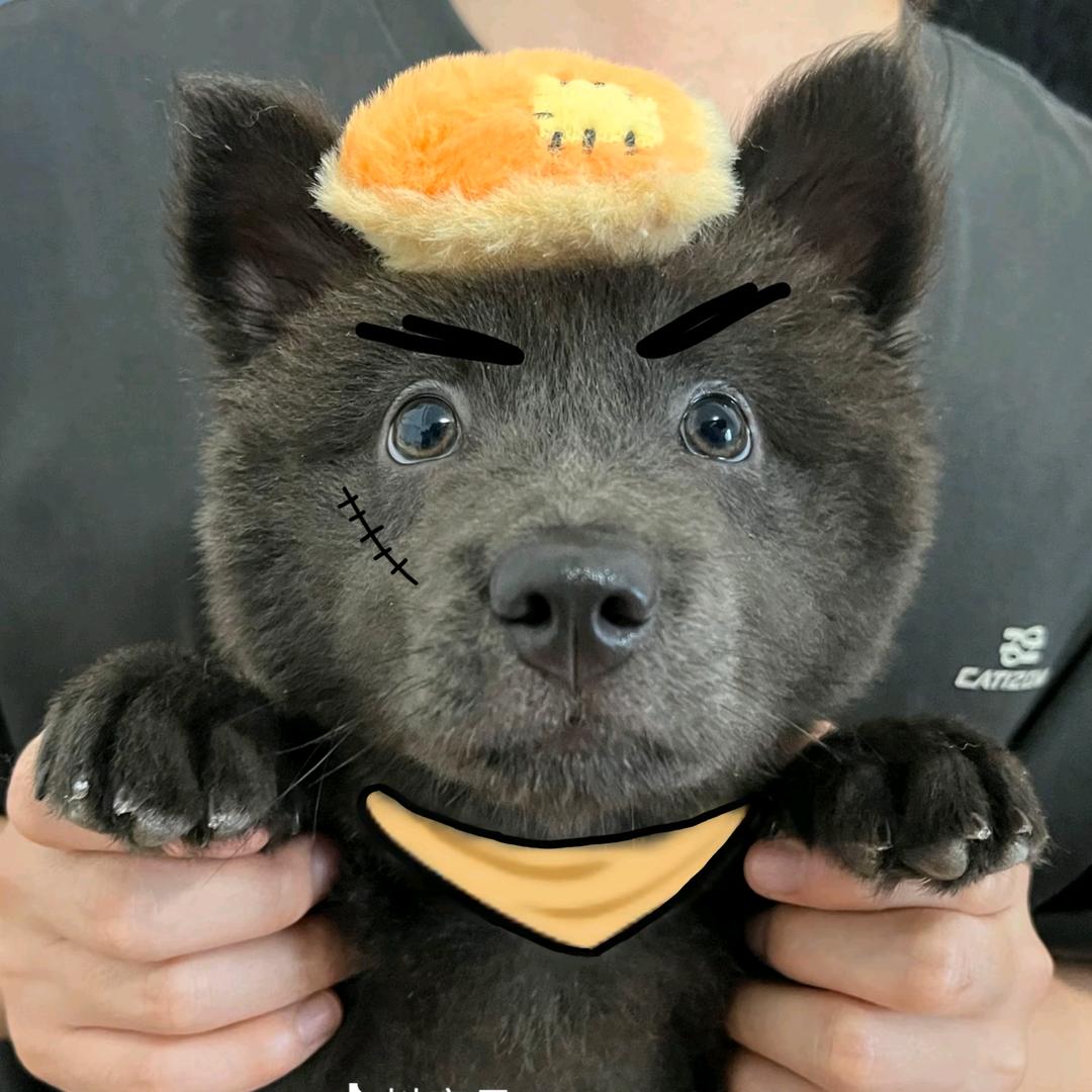 猛踹瘸子好腿