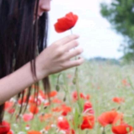 花漫九洲