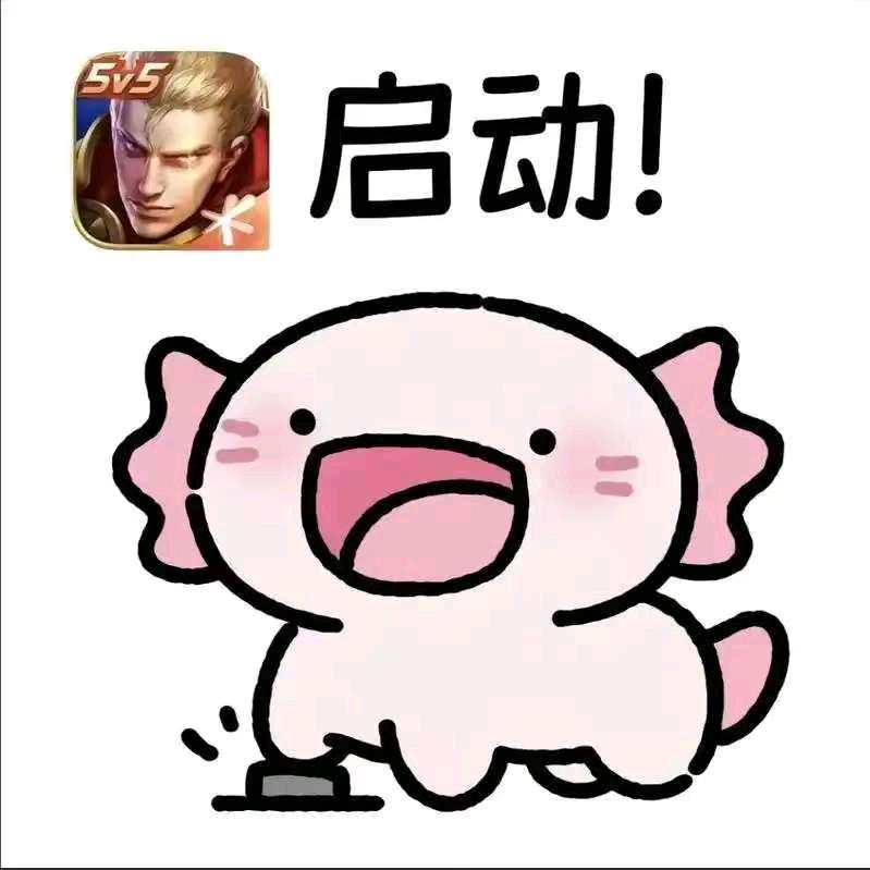 王者小教官（国服野王陪代）
