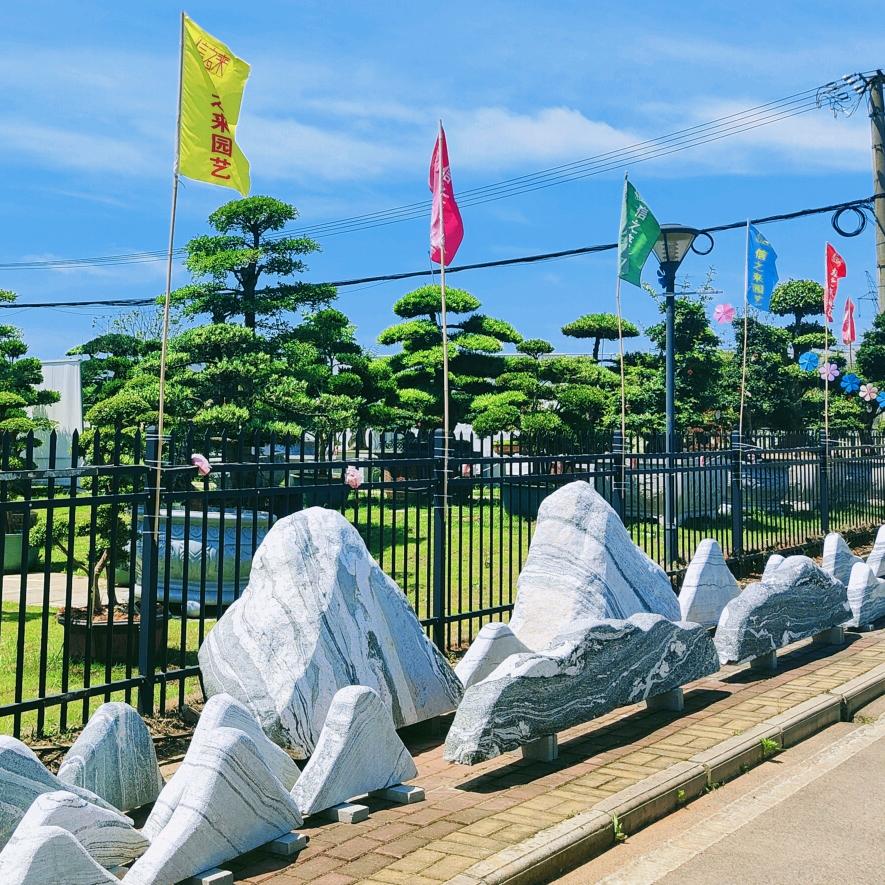 湖北信之来园林