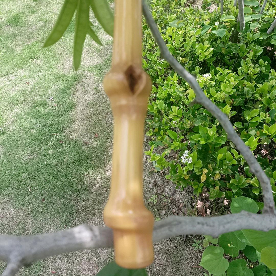 有一种痛☞撕心裂肺