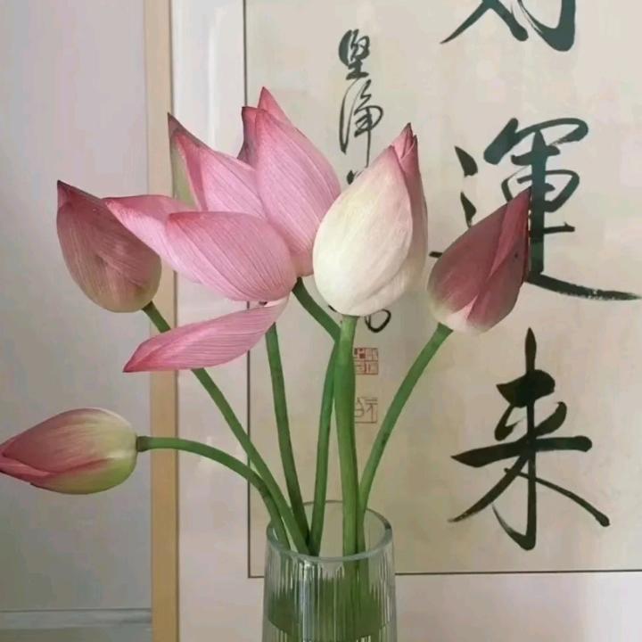 神秘人9108