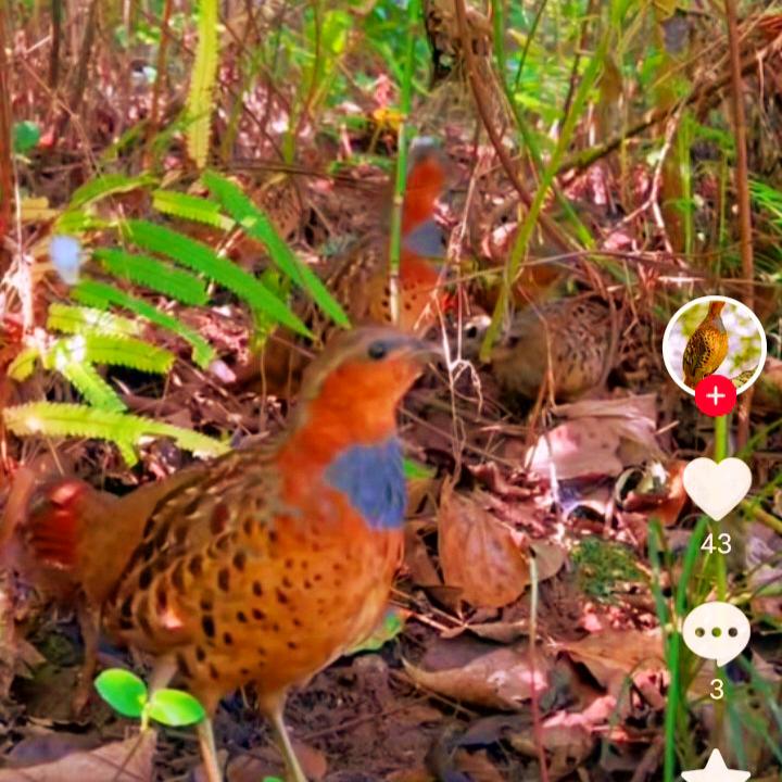 不如有你