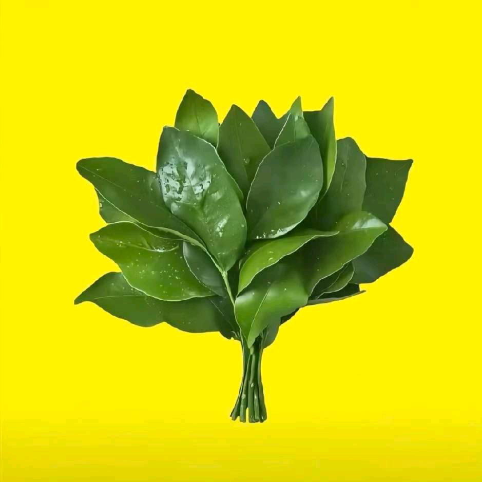 美茉纤身材管理(沂水香山路店)专用号