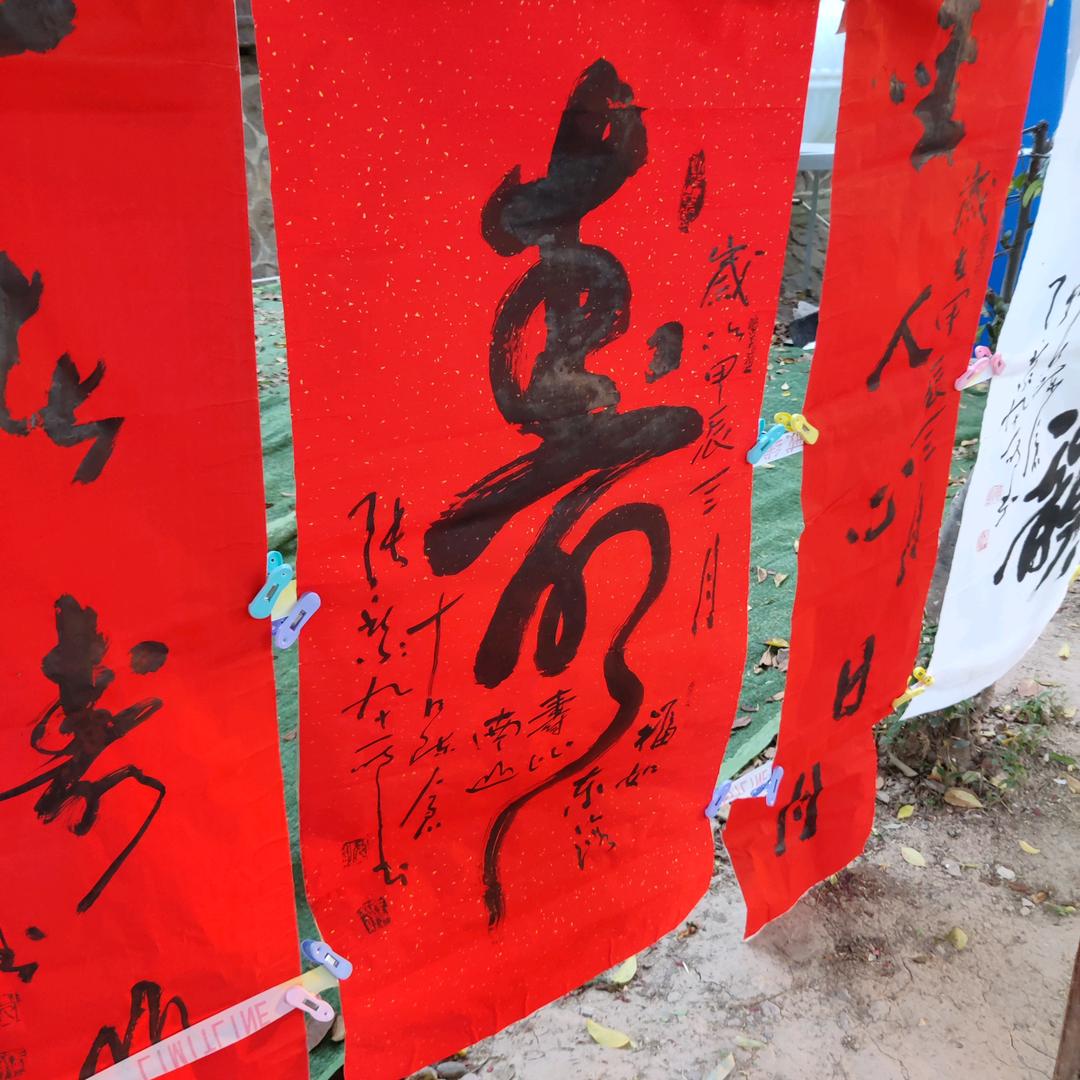 🐭西北二哥