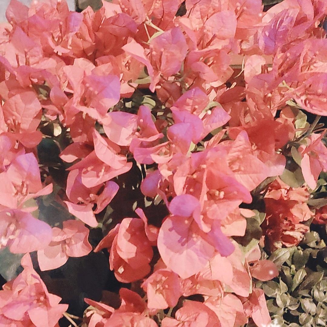 一笑抵千言♥