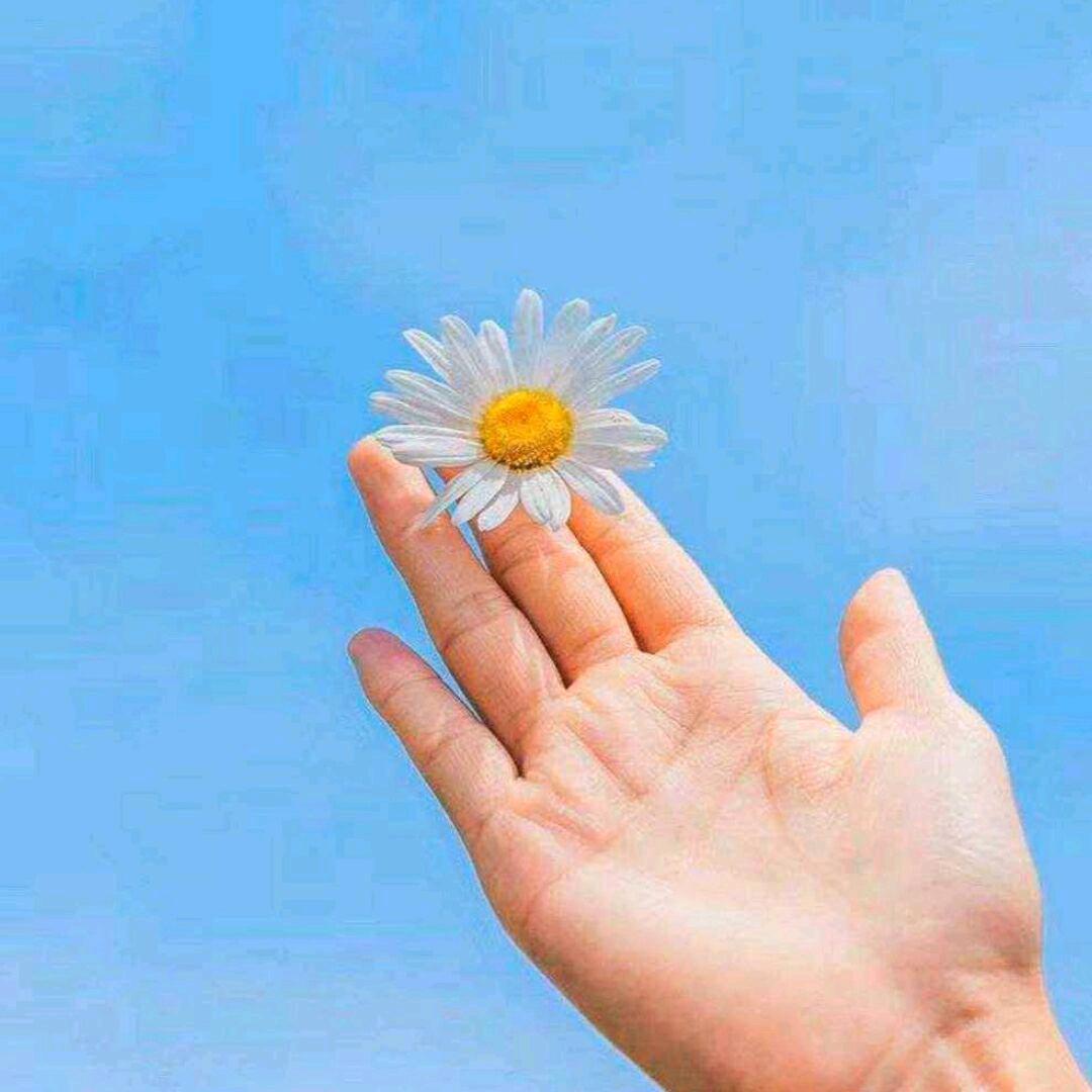 小💐((🌺不⥎🌺))点🌹