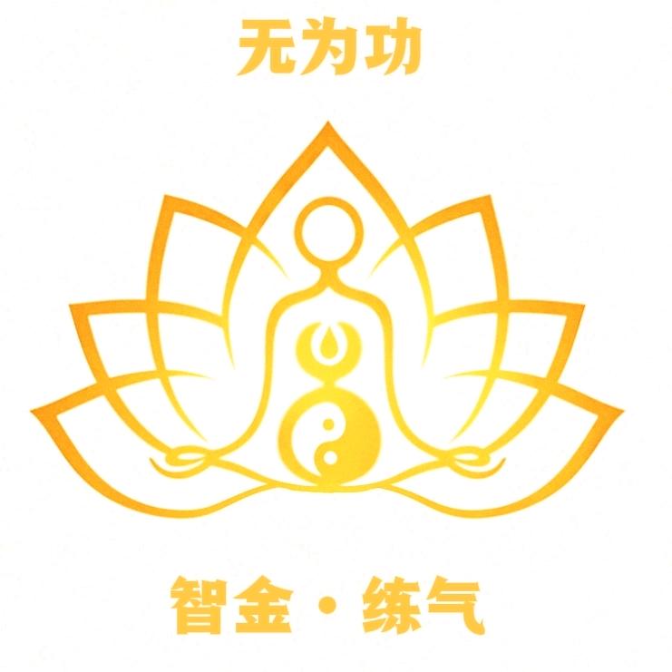 智金老师教练气