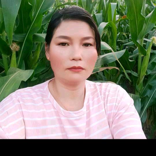 邓姐茶麸