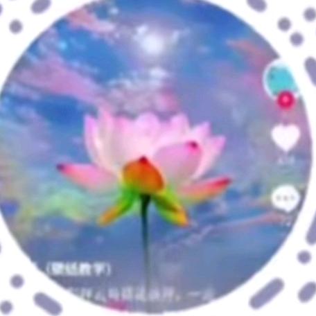 ☀️来生愿做一朵莲