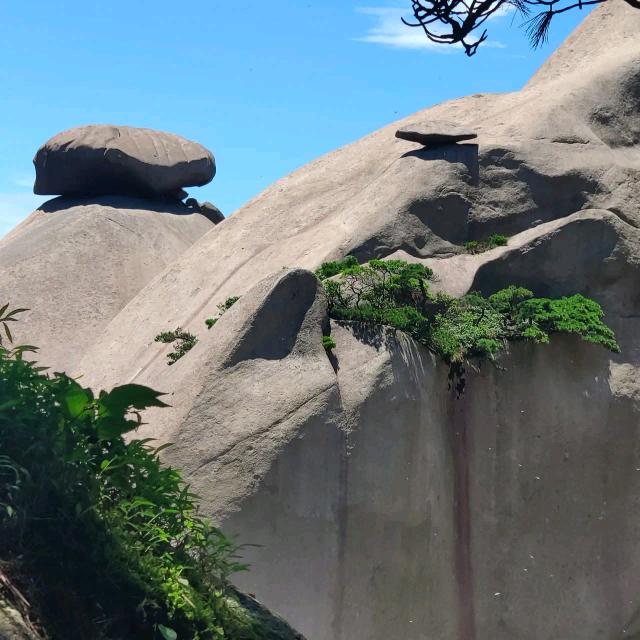 新东泰