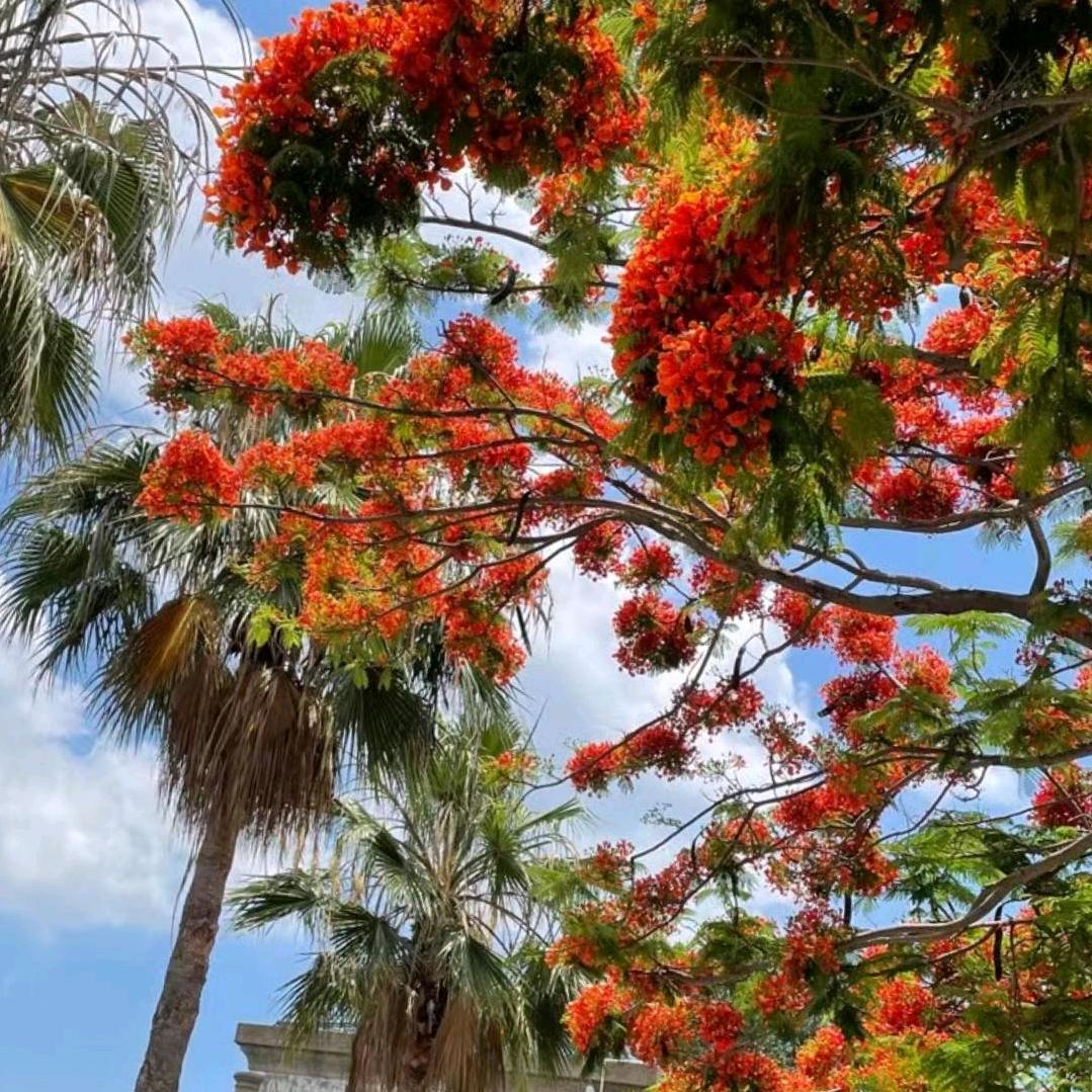 给你晴天般的微笑😘