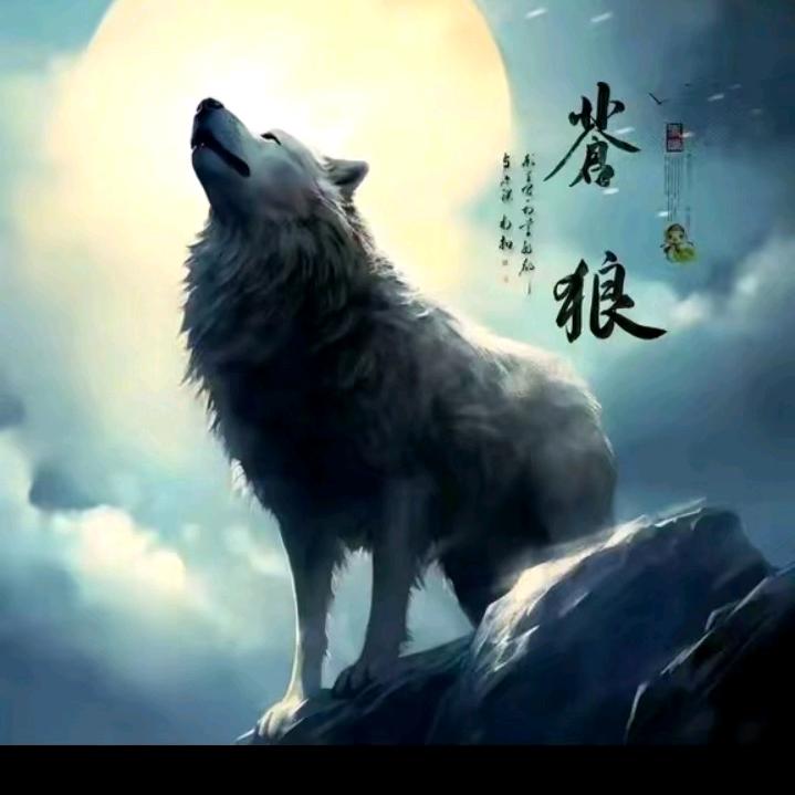 苍～狼