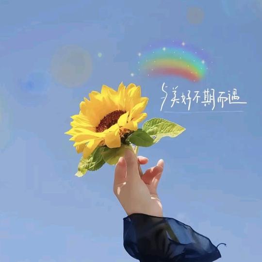 是倩倩吖