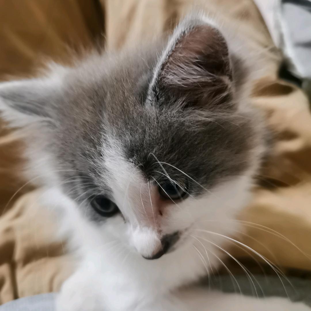 优多多百货铺子