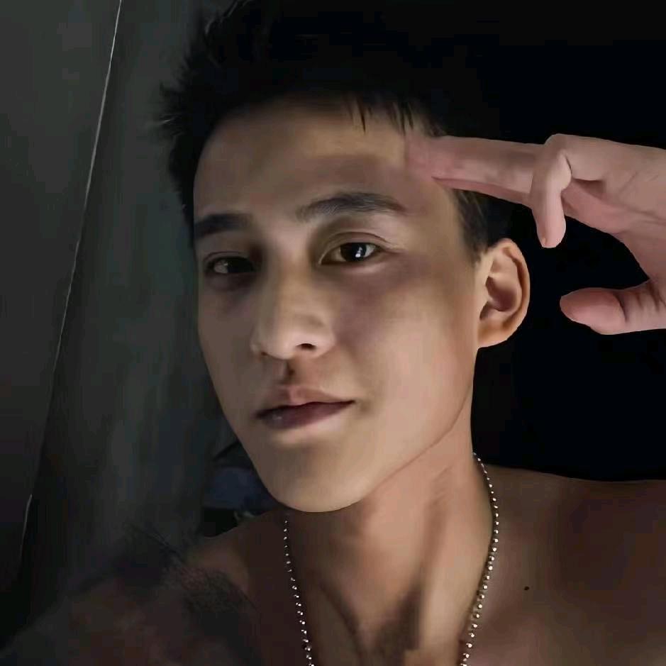 宋振豪.