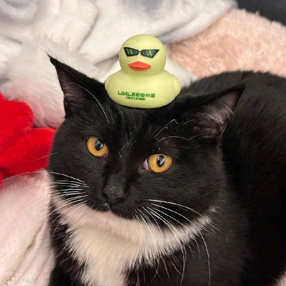 李双，我们认识吗