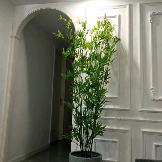向陽而生。