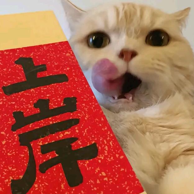 猫咪营养师七七