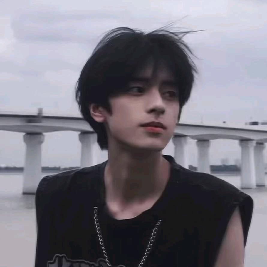 真的不爱回信息