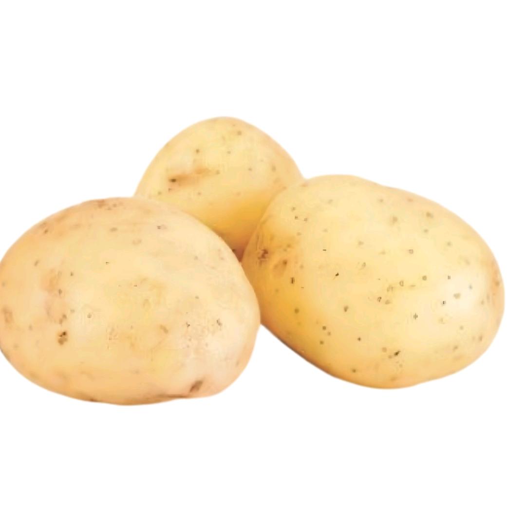 Potato~