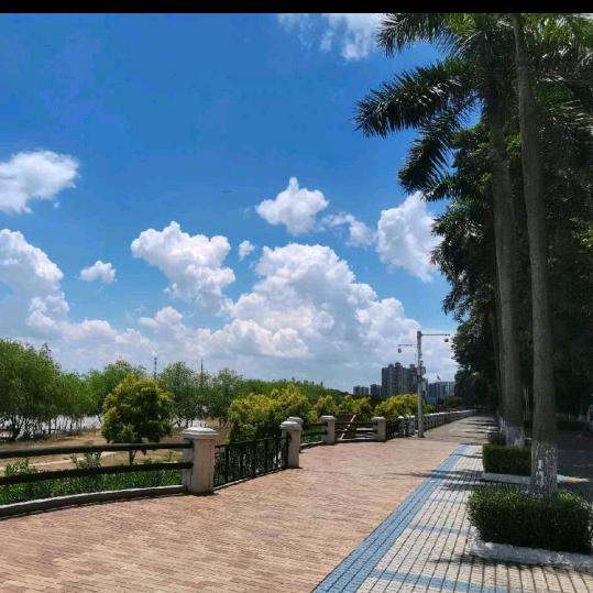 兴业毛巾床上用品