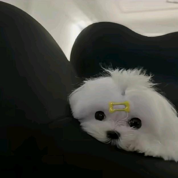 你也早点睡