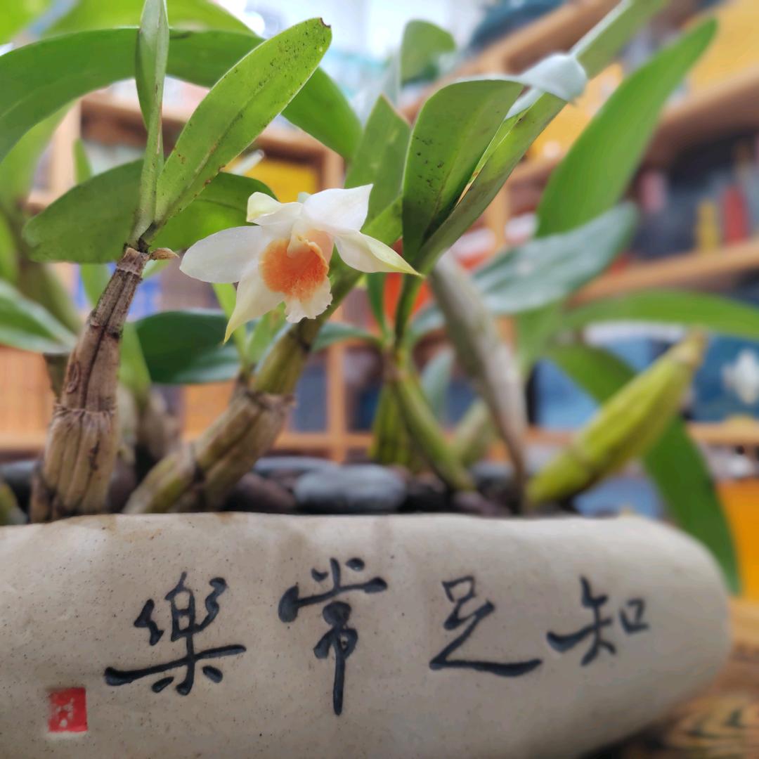 细节决定成败