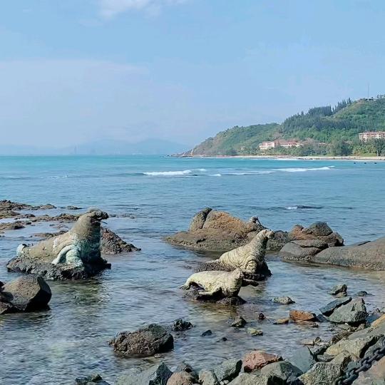 走着走着就丢了