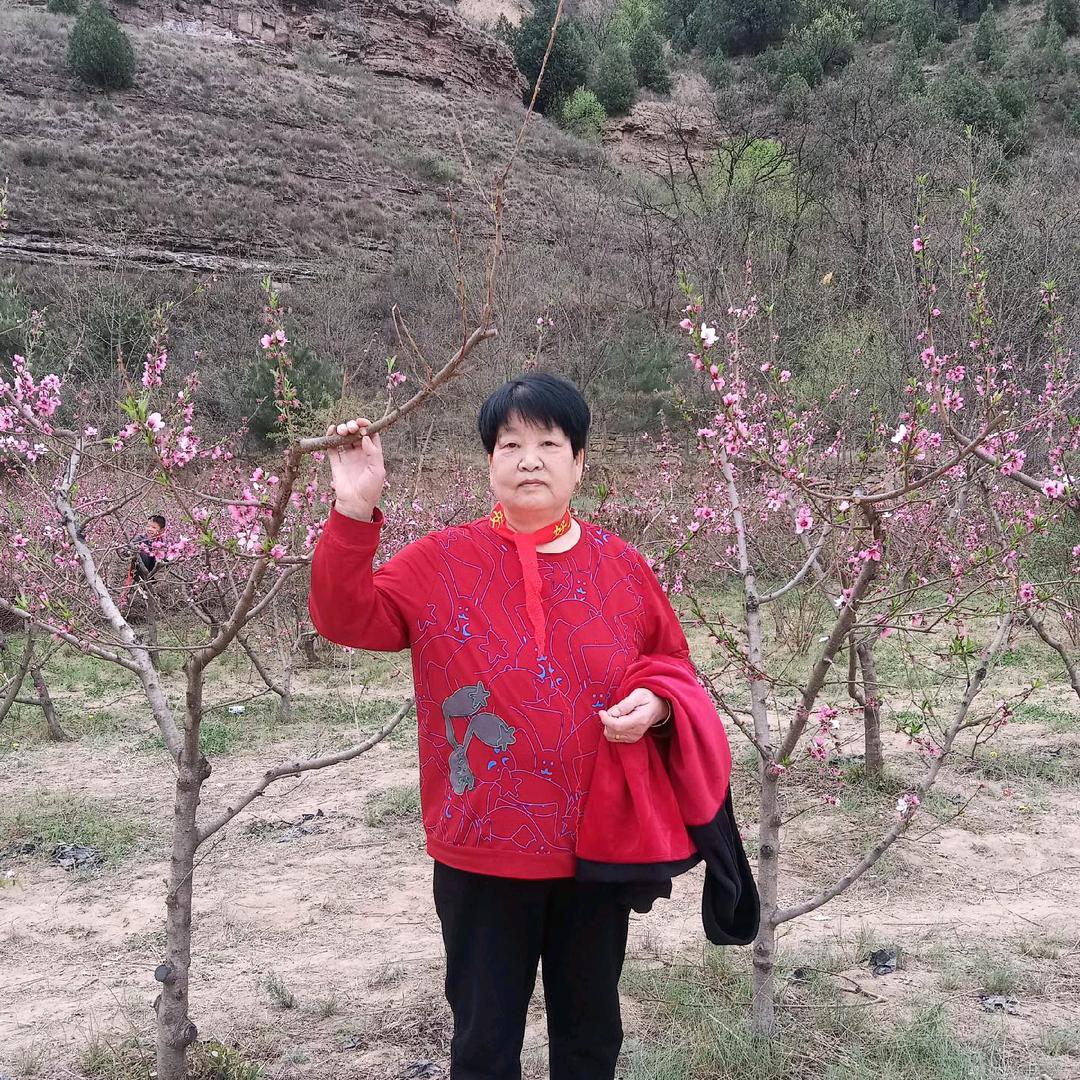 董奶奶