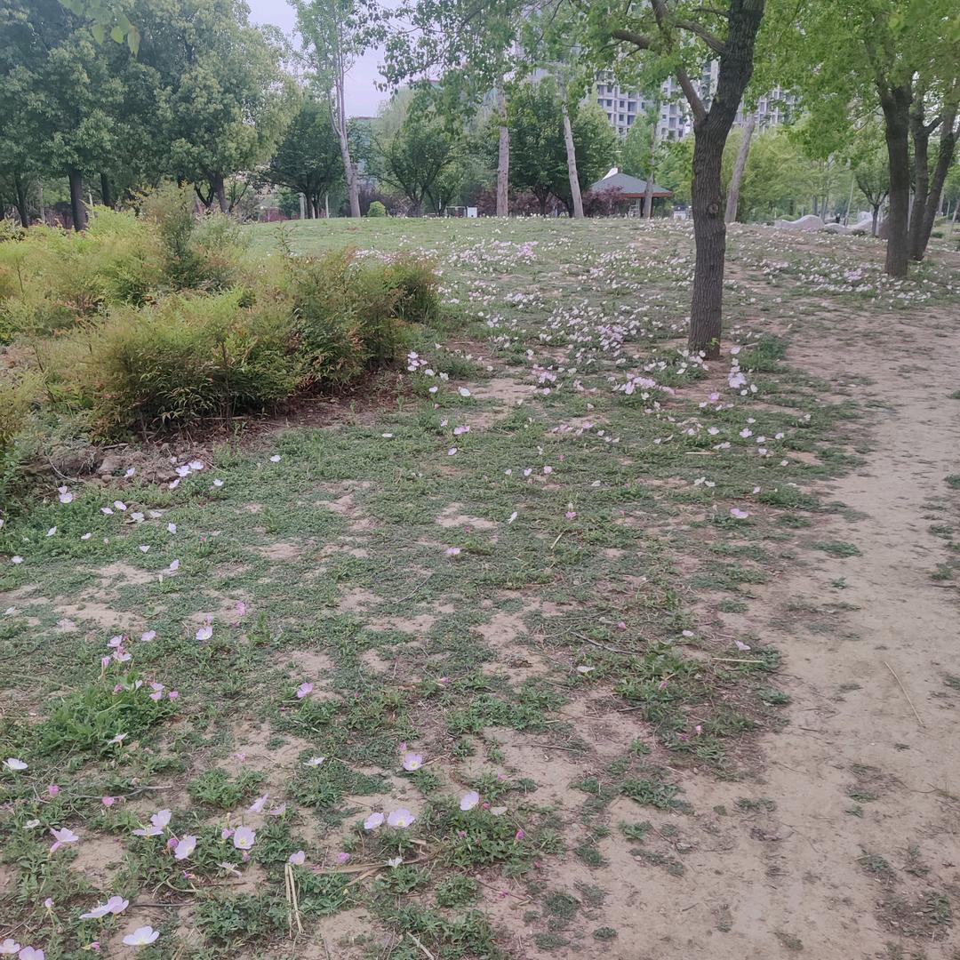 用户003257935