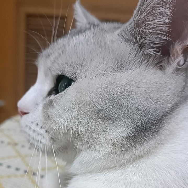 万万爱生活