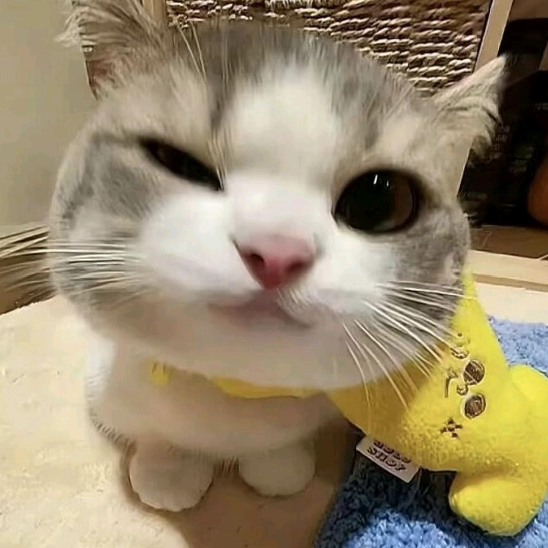喂喂喂喂喂