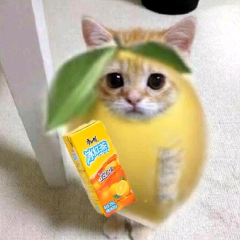 我是糕手