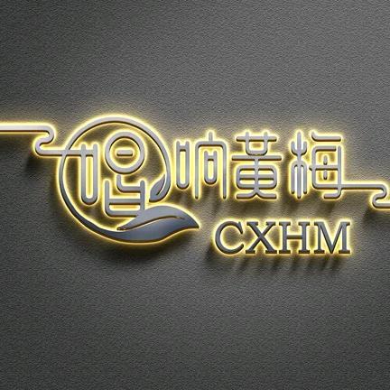 唱响黄梅  铁妹