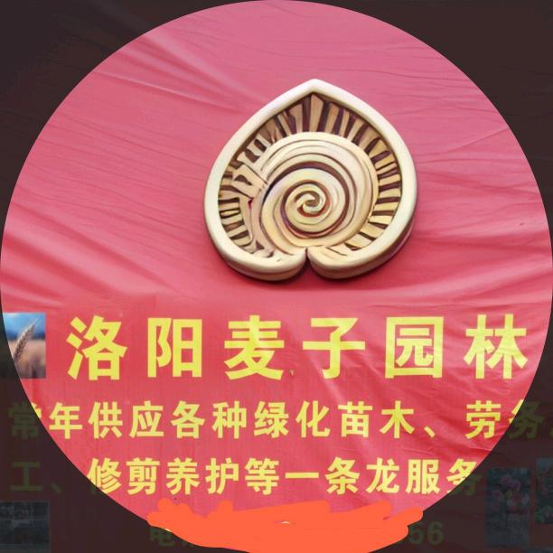 洛阳麦子园林绿化
