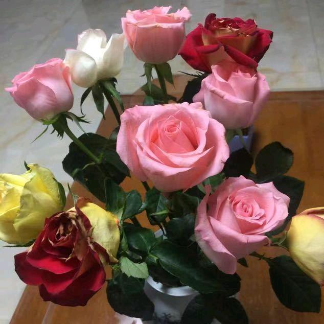 和为贵，情要真。