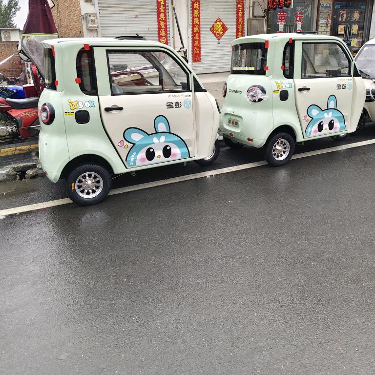 宜阳县白杨镇东关电动车店