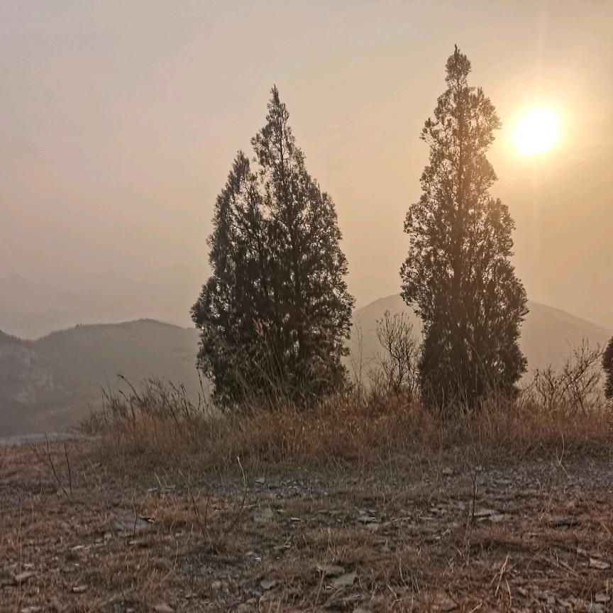 大太阳🌞