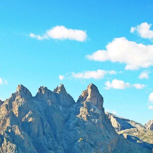 新时代🌹健康财富双丰收