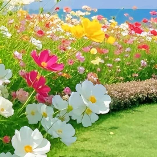 清风徐来🍏🍎