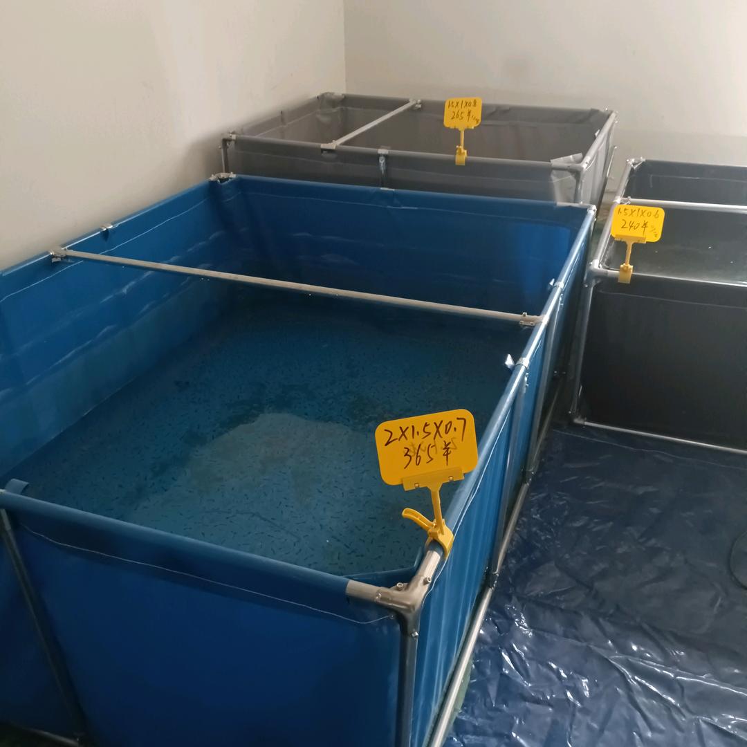 灌云畅顺刀刮布鱼池