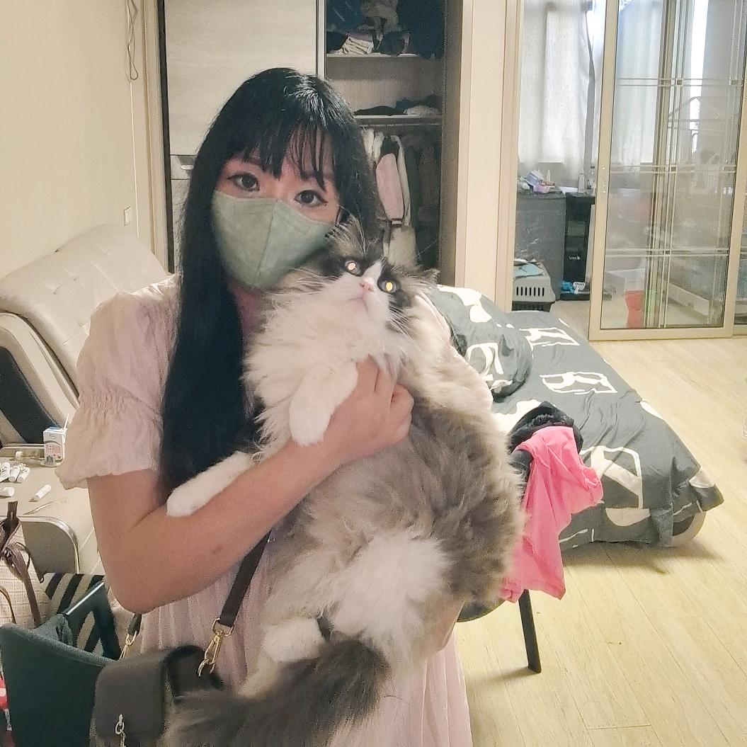 带猫跑外卖的小姐姐（全常州无锡金坛配送）