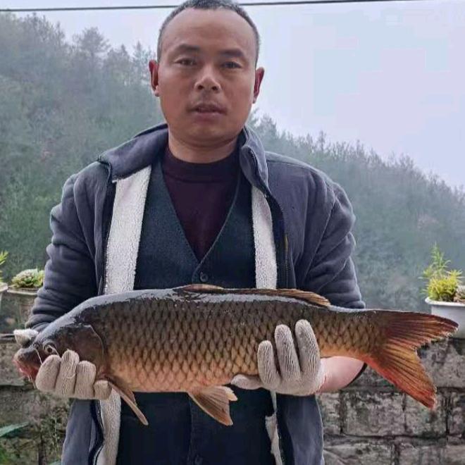 兵哥荒野垂钓生活