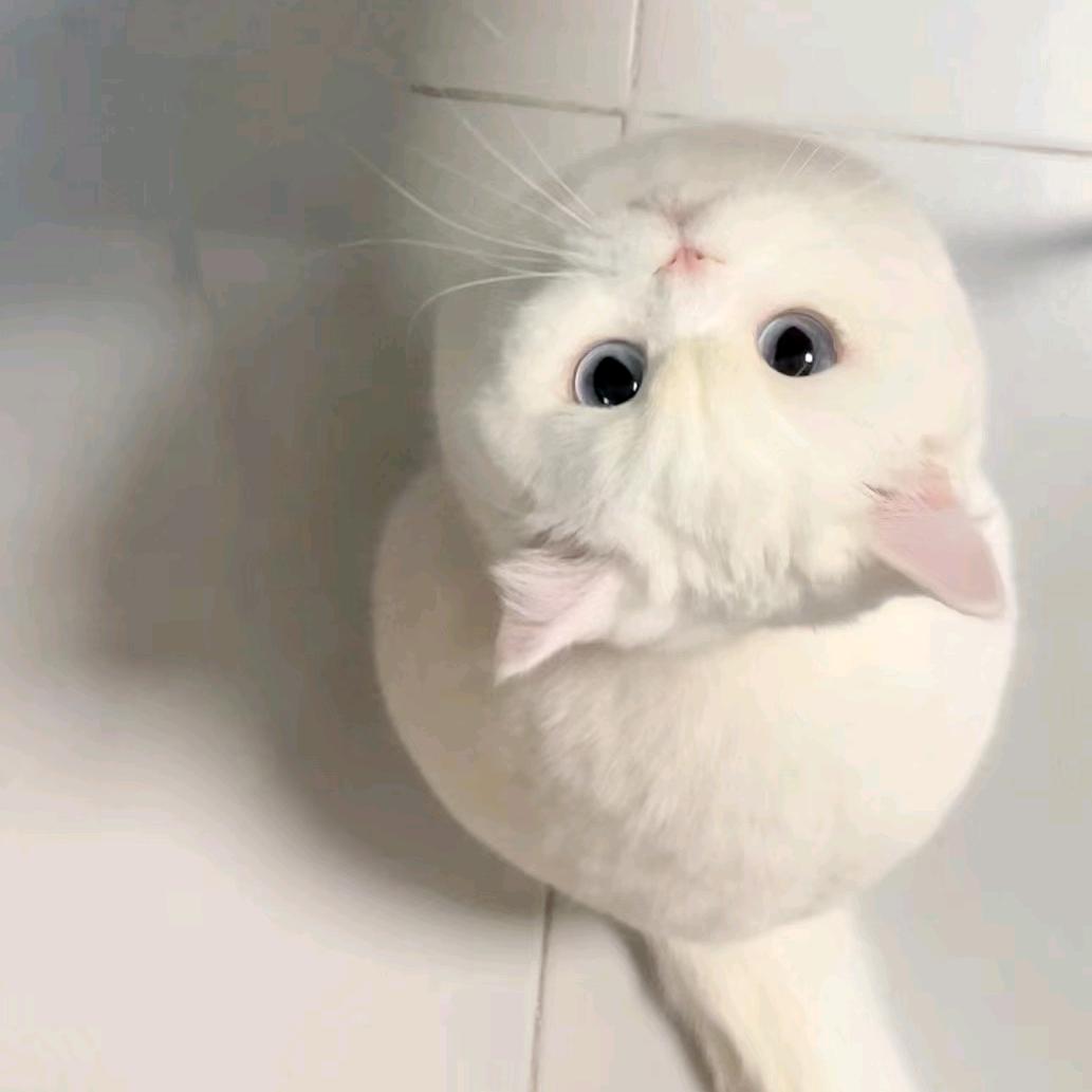 雪糕火锅